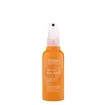 Aveda Sun Care Hair Protector 100ml