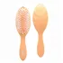 Wet Brush Go Green Treatment and Shine Brush