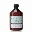 Davines Naturaltech Detoxifying Superactivo 500ml
