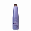 Keratimask Blueberry Silver Champu 350ml