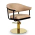Sillon de Peluqueria Lyra