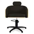 Sillon de Peluqueria Alya