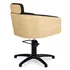 Sillon de Peluqueria Alya