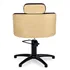 Sillon de Peluqueria Alya
