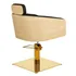 Sillon de Peluqueria Alya