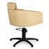 Sillon de Peluqueria Alya