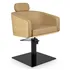 Sillon de Peluqueria Alya