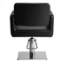 Sillon de Peluqueria Chic