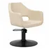 Sillon de Peluqueria Whim