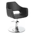 Sillon de Peluqueria Wedge
