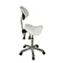 Taburete de Estetica Zeo Back