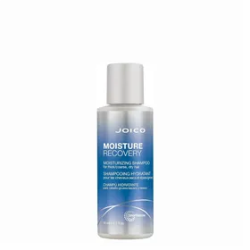 Joico Moisture Recovery Shampoo