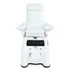 Sillon de Pedicura Electrico Ease