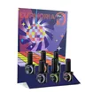 Thuya B-Color Expositor Euphoria