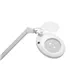 Lampara de Estetica LED Magni