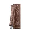 Schwarzkopf Igora Color10 60ml
