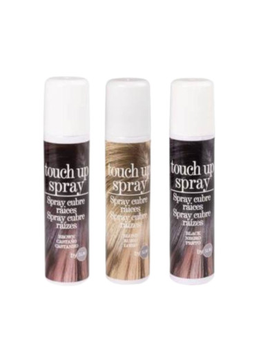 Spray Cubre Canas Touch up 75 ml