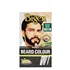Bigen Men Beard Colour 