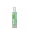 HairConcept Moringa Oil 100