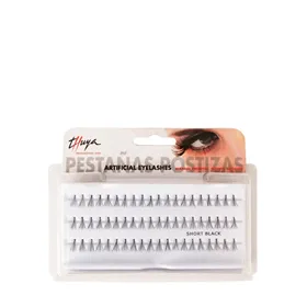 Thuya Pestañas Postizas Grupos 60uds
