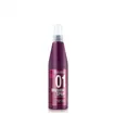 Salerm ProLine 01 Brushing Spray 250ml
