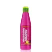 Salerm Straightening Champu 250ml