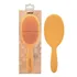 Framar Detangle Brush