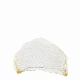 Bifull Netty Redecilla Invisible